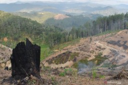 DPR: Eksplorasi Huanjir Berlebih menjadi Penyebab Banjir di Kalsel