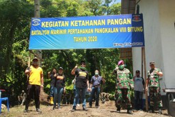 Antisipasi Covid-19, Lantamal VIII dan Pemkot Bitung Gagas Ketahanan Pangan
