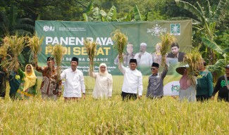 Panen Raya Padi Sehat, Kolaborasi LPPNU dan Pemkab Pasuruan Dorong Pertanian Berkelanjutan