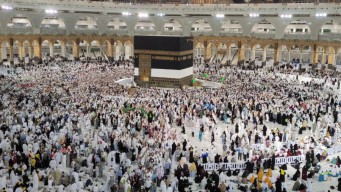 73 Jemaah Wafat sampai Hari ke-52 Operasional Haji