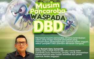 Penanggulangan Kasus Demam Berdarah Dengue (DBD) Semakin Diperketat di Kota Mojokerto