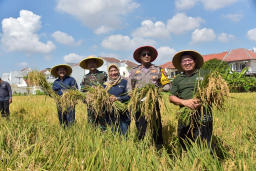 Dorong Produksi Padi di Tengah Kota, Pemkot Surabaya Genjot Bantuan Alsintan dan Perbaikan Irigasi