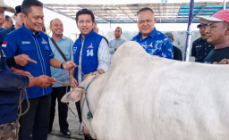 DPD Demokrat Jatim Salurkan 1.500 Paket Daging Kurban