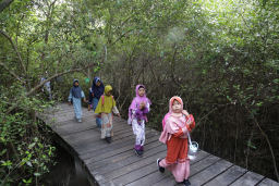 Kunjungan ke Kebun Raya Mangrove Surabaya Meningkat, Ekologi dan Ekonomi Warga Ikut Tumbuh