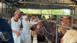 Khofifah Tinjau Peternakan Kurban di Bojonegoro, Pastikan Stok Ternak Jatim Aman Jelang Idul Adha