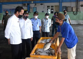 Jokowi Senang Nelayan Bisa Melaut di Tengah Pandemi Covid-19