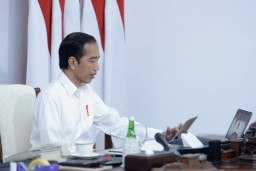 BKKBN Ditunjuk Jokowi sebagai Pelaksana Percepatan Penurunan Stunting