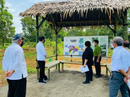 Jokowi: Pusat Benih dan Persemaian di Rumpin Hasilkan 16 Juta Bibit