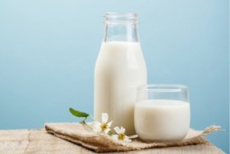 Susu Kambing Ternyata Kaya Manfaat Lho, Apa Saja?