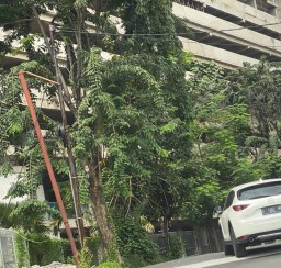 Proyek Apartemen Capital Square Diduga Langgar Sempadan
