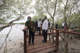 Gresik Kini Punya Wisata Jelajah Mangrove Sepanjang 1,5 KM