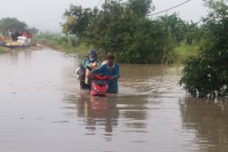 Kali Lamong Meluap, Benjeng dan Balongpanggang Banjir