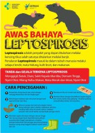Waspada Penyakit Leptospirosis di Musim Hujan