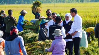 Gubernur Khofifah Komitmen Tingkatkan Produktivitas dan Jaga Keseimbangan Harga GKP Petani
