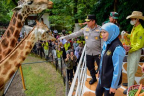 Libur Lebaran, Kunjungan Wisatawan ke KBS Tembus hingga 15 Ribu Orang