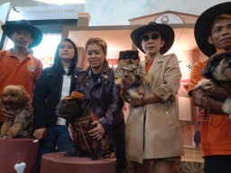 Bersilahturahmi Pecinta Anjing di Acara Ultah Mercy