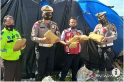 Tertangkap Bawa Ganja Gara-gara Truk yang Disopirinya Terguling