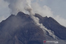 Guguran Lava Pijar Gunung Merapi Meluncur hingga 1 Km