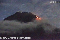 Guguran Awan Panas Meluncur dari Gunung Merapi Sejauh 1,3 Km