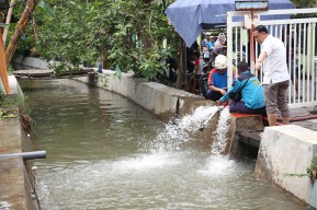 Upaya Pemkot Surabaya Atasi Banjir: Fokus pada Skala Prioritas dan Transparansi Anggaran