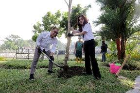 Terima Bantuan Pohon Tabebuya, Pemkot Surabaya Siap Percantik Pinggir Sungai Kalimas