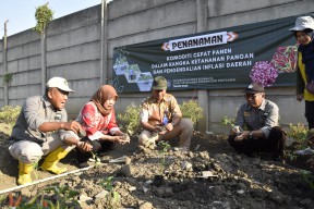 Ini Solusi Pemkot Surabaya Atasi Kenaikan Harga Cabai