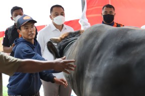 Pemkot Surabaya Imbau Warga Tak Buang Limbah Rumen Hewan Kurban di Sungai