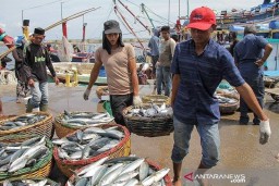 Musim Paceklik Ikan Tidak Berpengaruh Pada Nelayan di Aceh