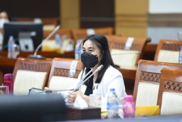DPR Minta Kemhan Evaluasi Seluruh Alutsista