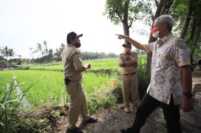 Ganjar Dorong Petani Klaten Budidayakan Padi Organik