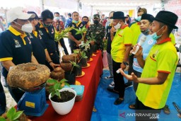 Struktur Tanah Kotawaringin Paling Cocok untuk Budidaya Porang