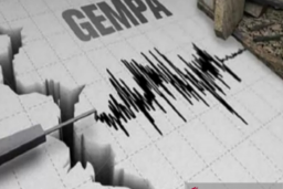 Lombok Diguncang Gempa 4,1 SR