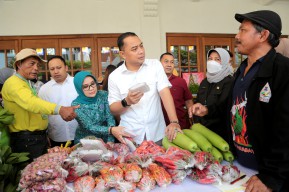 Wali Kota Eri Targetkan Hasil Urban Farming Warga Penuhi 60 Persen Kebutuhan Pangan Surabaya