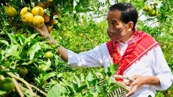 Pentingnya Infrastruktur Jalan untuk Tunjang Kegiatan Produksi