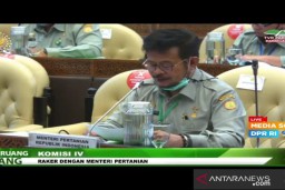 Mentan: Kebijakan Pupuk Bersubsidi Mancapai Nilai Manfaat 250 Persen