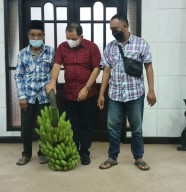 Bawa Setandan Pisang, Korban Erupsi Semeru Datangi Bupati