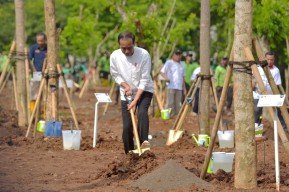 Tanam Pohon Bersama di Pulo Gadung, Presiden: Atasi Polusi dan Antisipasi Perubahan Iklim
