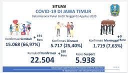 Pasien Sembuh  dari Corona Tembus 15.068 Orang atau 66,97 Persen