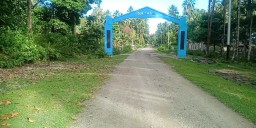 Jalan Desa Waigai Belum Diaspal, Warga Menuntut
