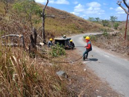 PLN Hadirkan Listrik di 20 Desa dan 1 Dusun Terpencil di NTT