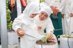 Gubernur Khofifah Ajak Cucu Tanam Dan  Panen Golden Melon