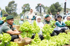Gubernur Khofifah dan Pangdivif 2 Kostrad Tanam 10 Ribu Pohon dan Panen Tanaman Holtikultura