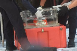 NTSB Amerika Mengirim Penyelidik ke Indonesia