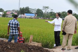 Agrikultur menjadi Kekuatan Baru Perekonomian di Masa Pandemi COVID-19