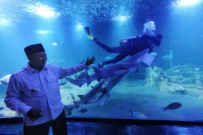Wagub Uu Ruzhanul: Aquarium Indonesia Pangandaran, Destinasi Wisata Sekaligus Ruang Edukasi