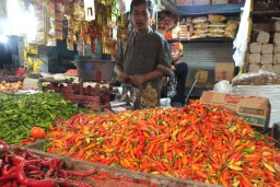 Tembus  Rp 130 Ribu, Harga Cabai Rawit Lebih Mahal dari Daging Sapi