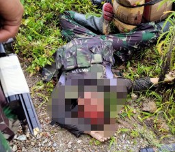 Anggota TNI dan Warga Sipil Tewas Diserang Kelompok Bersenjata
