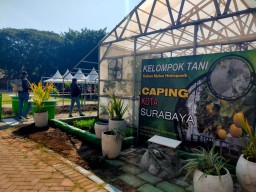 Kelurahan Jemur Wonosari Masuk Lima Besar Kelurahan Berprestasi Tingkat Regional II Jawa-Bali 2024