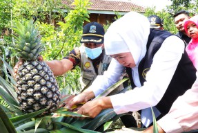 Gubernur Khofifah Apresiasi Sistem Pertanian Ramah Lingkungan dan Jangkauan Pasar Ekspor