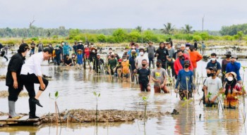 Jokowi Tanam Mangrove Bersama Dubes dan Masyarakat di Tana Tidung